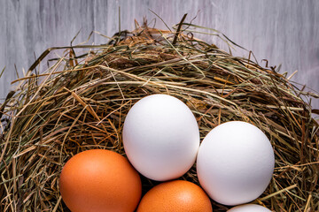 Wall Mural - Closeup raw white brown organic fresh eggs shell with yolk from happy chicken hen free range farm on nature hatch grass straw nest healthy protein food symbol of spring season birth easter festival