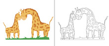 Outline Illustration Of A Mother Giraffe And A Baby Giraffe For Coloring On The Right Side And Such An Illustration In Color On The Left Side. Children's Illustration For Coloring.