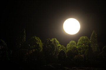 Wall Mural - mountain road through the forest on a full moon night. scenic night landscape of country road at nig