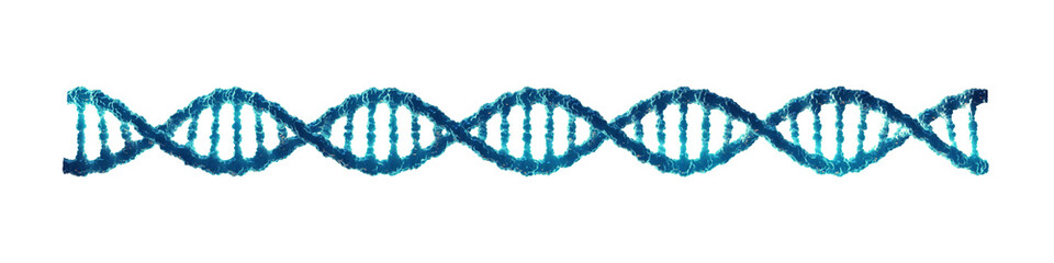 Canvas Print - Double helix DNA molecule isolated on white background.  Molecular genetics and Genetic engineering. 