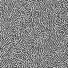 Seamless Organic Pattern. Biological Reaction Diffusion. Creative Abstract Natural Structure. Maze With Wavy Lines And Dots Vector Texture