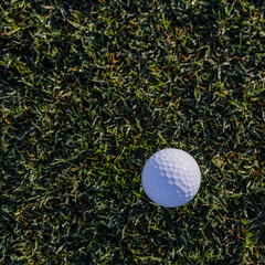 Wall Mural - Top view of golf ball balancing on tee