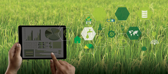 agriculture technology concept man Agronomist Using a Tablet in an Agriculture Field read a report integrate artificial intelligence machine learning technology  5G