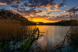 Fototapeta  - Sonnenuntergang am See mit Baumstamm