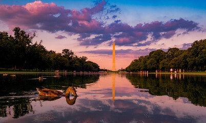 Wall Mural -  DC Washington  USA - July 27:2018 , Views of the Washington Monument in Washington, DC Washington Monument USA, 