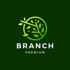 Wall Mural - round tree branch leaf logo vector icon illustration
