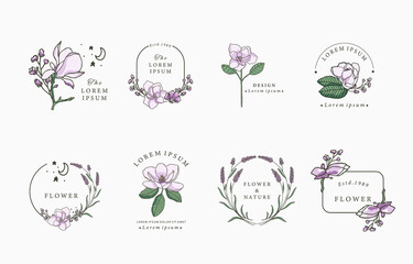 Wall Mural - Beauty lavender,magnolia collection.Vector illustration for icon,sticker,printable and tattoo