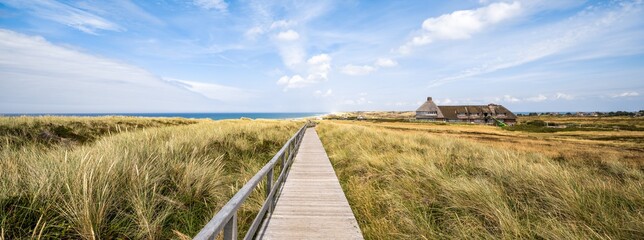 Wall Mural - dune landscape near kampen, sylt, schleswig-holstein, germany