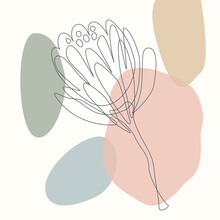 Abstract Shapes And Floral Outlined Protea Flower Element Artistic Texture, Soft Pastel Earthy Color Palette Modern Background,