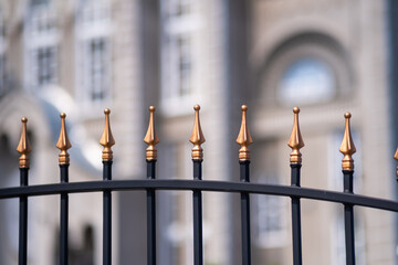 Wall Mural - Metal fashion fence. Decorative wrought iron fence