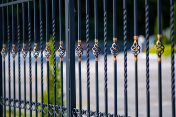 Wall Mural - Metal fashion fence. Decorative wrought iron fence