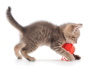 Wall Mural - Little kitten playing with a ball of yarn.