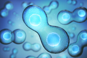 Wall Mural - human cell or embryonic stem cell microscope background