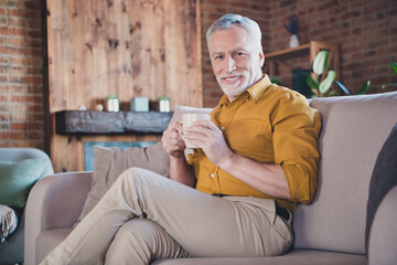 Canvas Print - Portrait of cheerful friendly person sit on sofa hands hold coffee toothy smile look camera free time home indoors