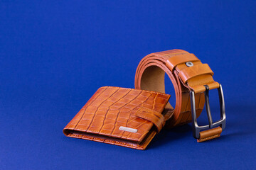 Sticker - Brown reptile leather wallet and belt on blue fabric background. Fashion and shopping concept