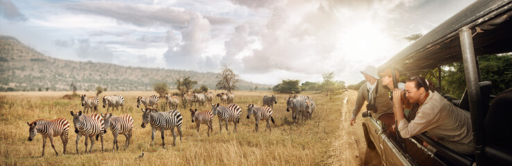 group of young people watch and photograph wild zebras on safari tour in national park on tanzania.
