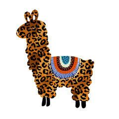 Wall Mural - vector illustration of an Andean animal, alpaca or vicuña with animal print isolated on white. 