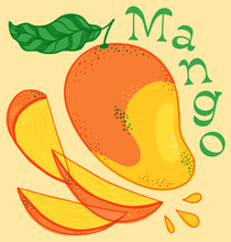 Mango Fruit Illustration