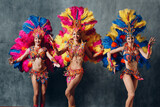 Women in brazilian samba carnival costume with colorful feathers plumage.