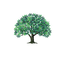 Ecology Tree With Green Leaves Vector Illustration
