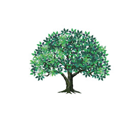 Wall Mural - ecology tree with green leaves vector illustration