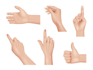 Poster - hands gestures. realistic human hands anatomy body parts palm and fingers decent vector hands collec