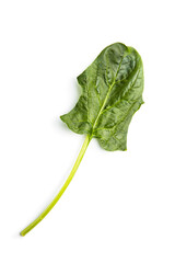 Sticker - Green spinach leaf