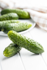 Wall Mural - Fresh green cucumbers on white table.