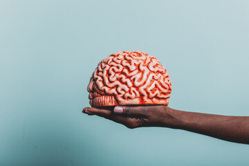 Wall Mural - Black female hand hold human brain on blue background