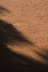 Sunlight and shadows on brick wall