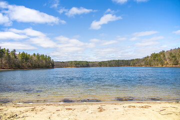 Wall Mural - Beautiful clear water on a lake in the spring