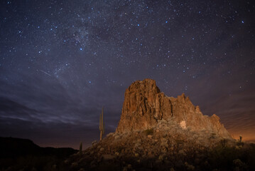 Wall Mural - sonoran desert under a starry sky