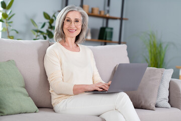 Sticker - Photo of happy old charming woman hold laptop work job sit sofa good mood indoors inside house home flat