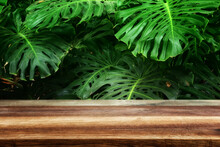 Wooden Table In Front Of Tropical Green Monstera Leaves Floral Background. For Product Display And Presentation