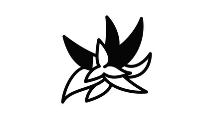 Poster - Top view aloe vera icon animation outline best object on white background