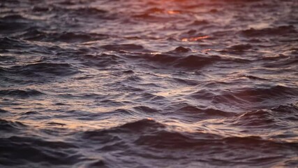 Wall Mural - a seascape during sunset. waves as a backdrop. summer. rest and relaxation. nature video as backgrou