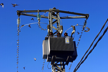 Poster - Low angle shot of a pole-mounted electric transformer on the blue sky background