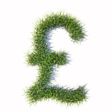 Concept or conceptual green summer lawn grass symbol isolated  white background, pond sign.  3d illustration metaphor for nature, conservation, organic, growth, environment, ecology, spring or summer