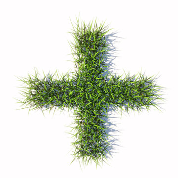 Concept or conceptual green summer lawn grass symbol isolated  white background, plus sign.  3d illustration metaphor for nature, conservation, organic, growth, environment, ecology, spring or summer