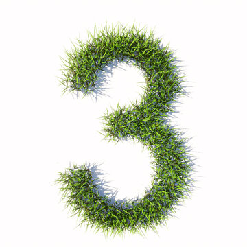 Concept or conceptual green summer lawn grass symbol isolated  white background, the font 3. 3d illustration metaphor for nature, conservation, organic, growth, environment, ecology, spring or summer