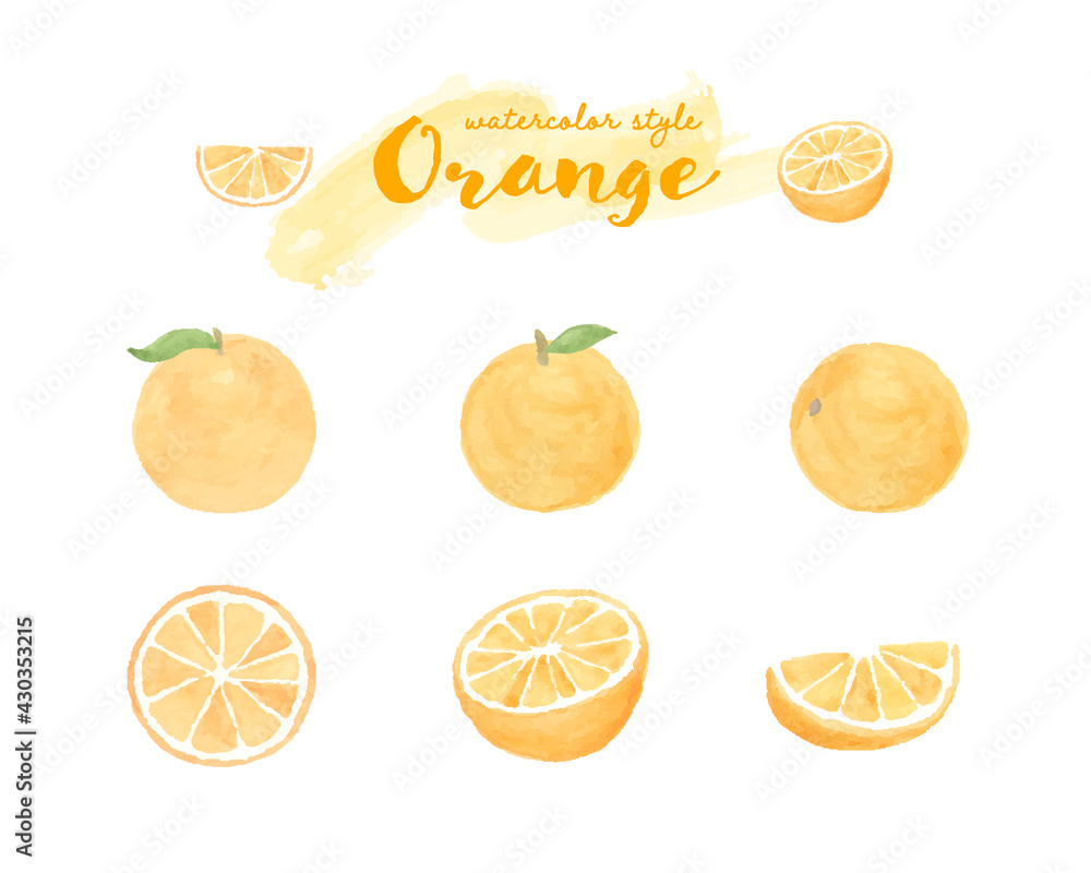 オレンジの水彩イラストのセット 断面 みかん 果物 フルーツ 柑橘類 フレッシュ かわいい Wall Mural Yugoro