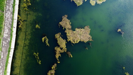 the view from the drone to the water in the park