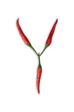Font made of hot red chili pepper isolated on white - letter X