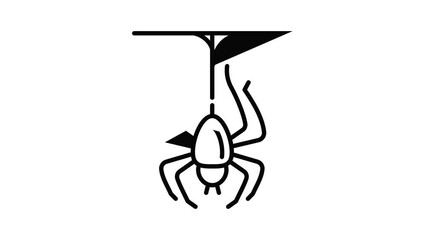 Poster - Spider icon animation outline best object on white background