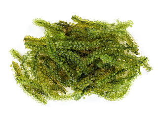 Wall Mural - Sea grapes ( green caviar ) seaweed on white background