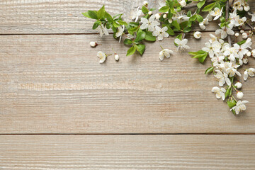  Blossoming spring tree branches as border on wooden background, flat lay. Space for text