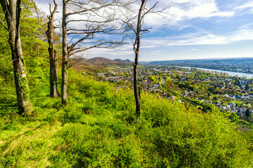 Canvas Print - Vom Ennert bis Königswinter