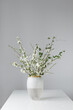 Photo of a white bouquet of cherry branches in blossom period with wonderfull white flowers and fresh green leaves in modern glass vase on a white table in minimalistic style home design indoors