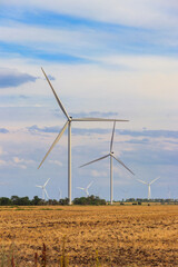 Wall Mural - Wind turbines in a field. Renewable energy