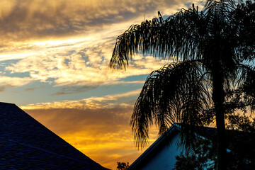 south florida sunset over residence houses with silhouette of palm trees homes. deep blue and orange